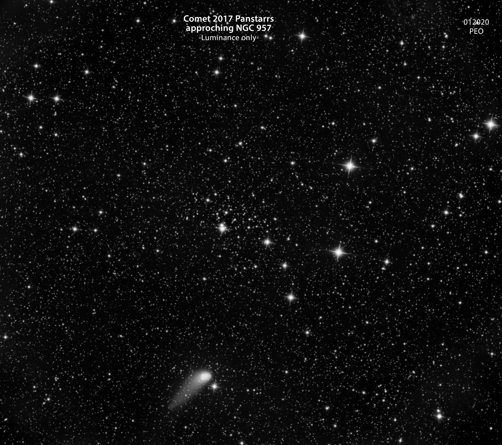 Comet Panstarr